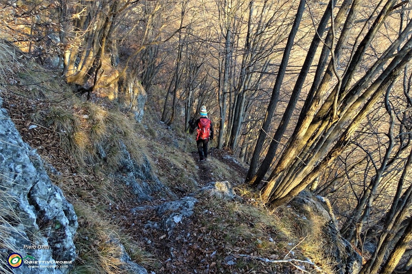 83 Si scende in bosco di faggi e carpini neri.JPG